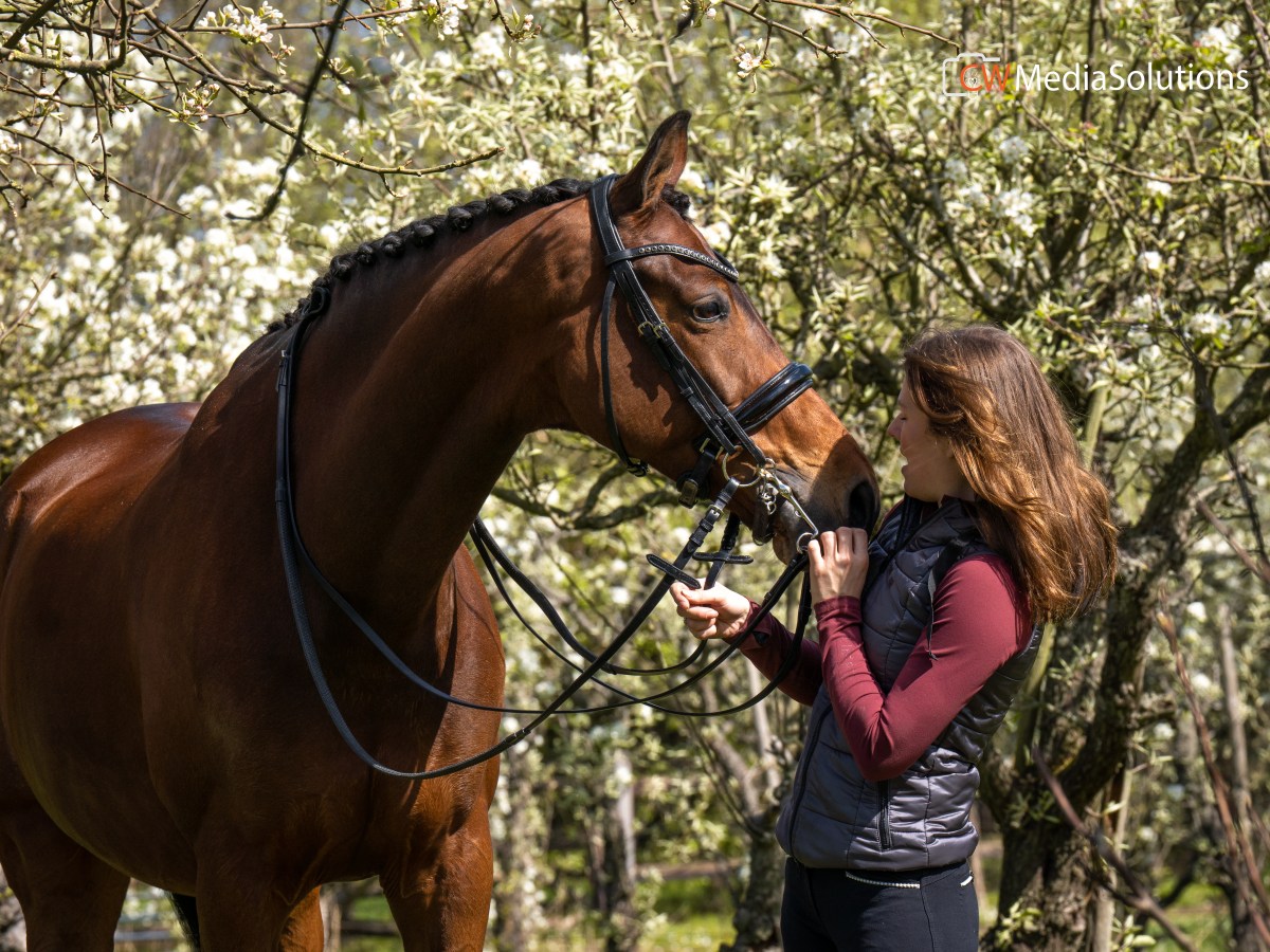Hensie her first ZZ-Zwaar&nbsp;competition!