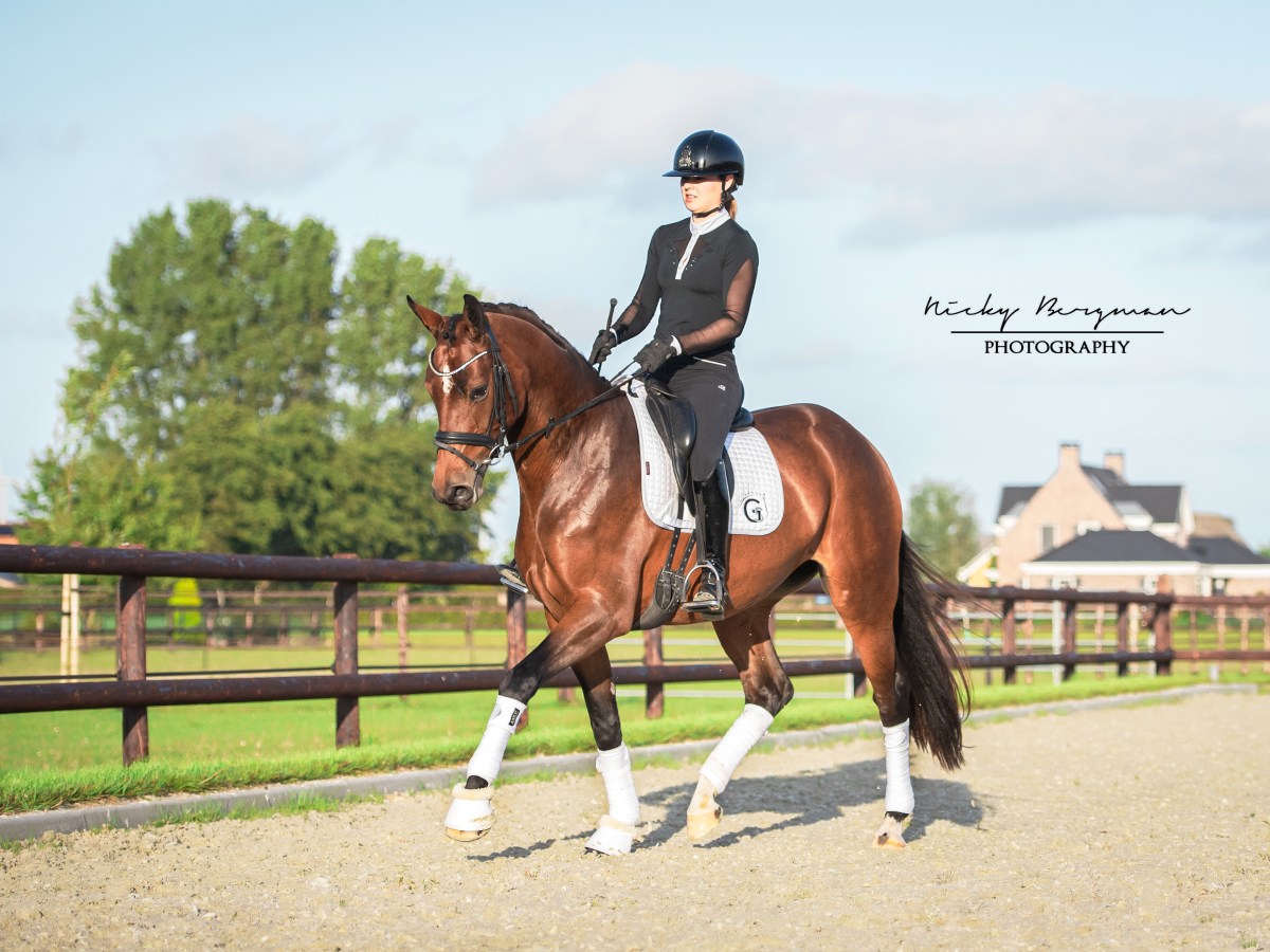 Pina Colada enjoying life with her new&nbsp;owner