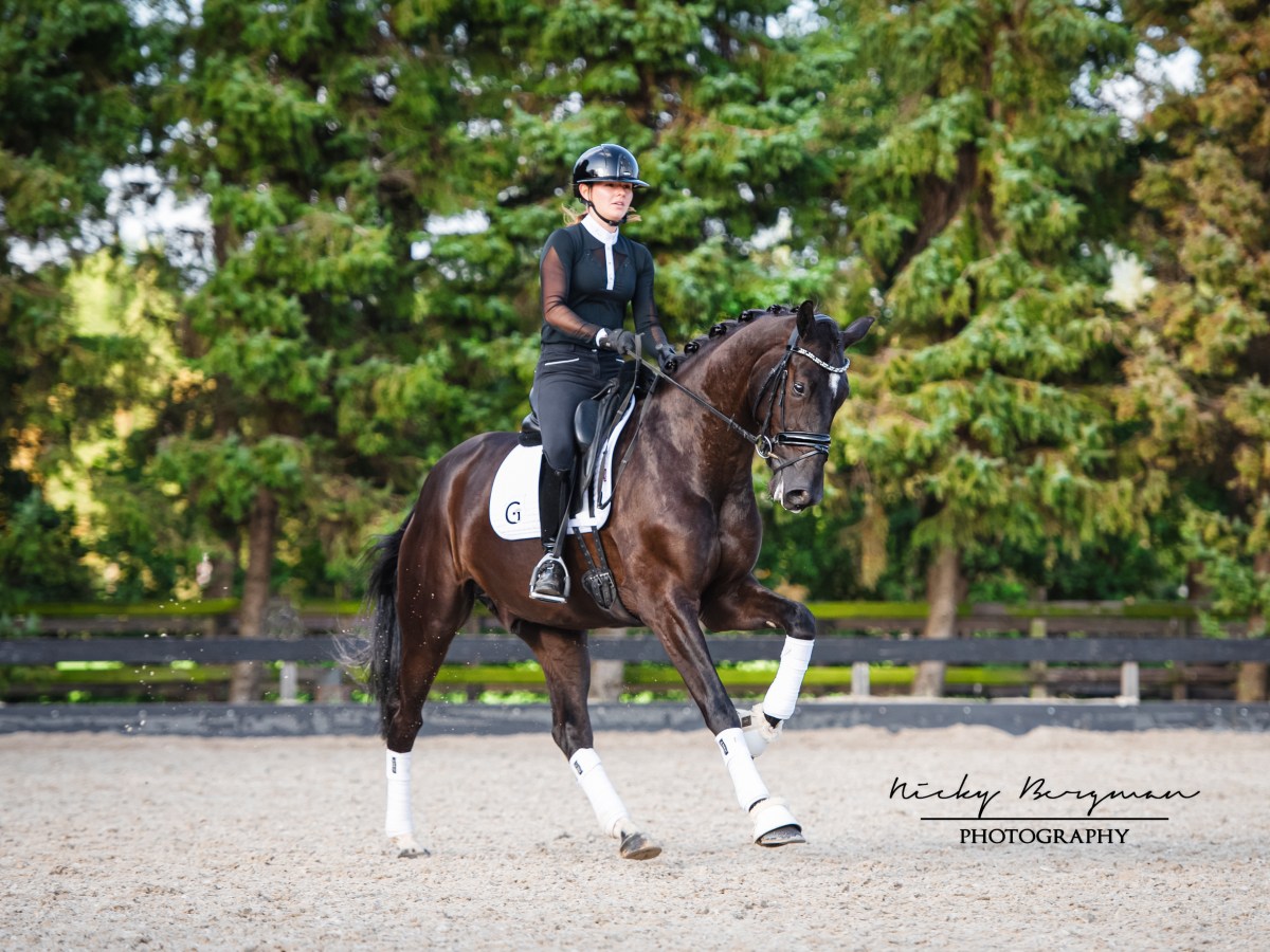 Collaboration with Nicky Bergman&nbsp;Photography!