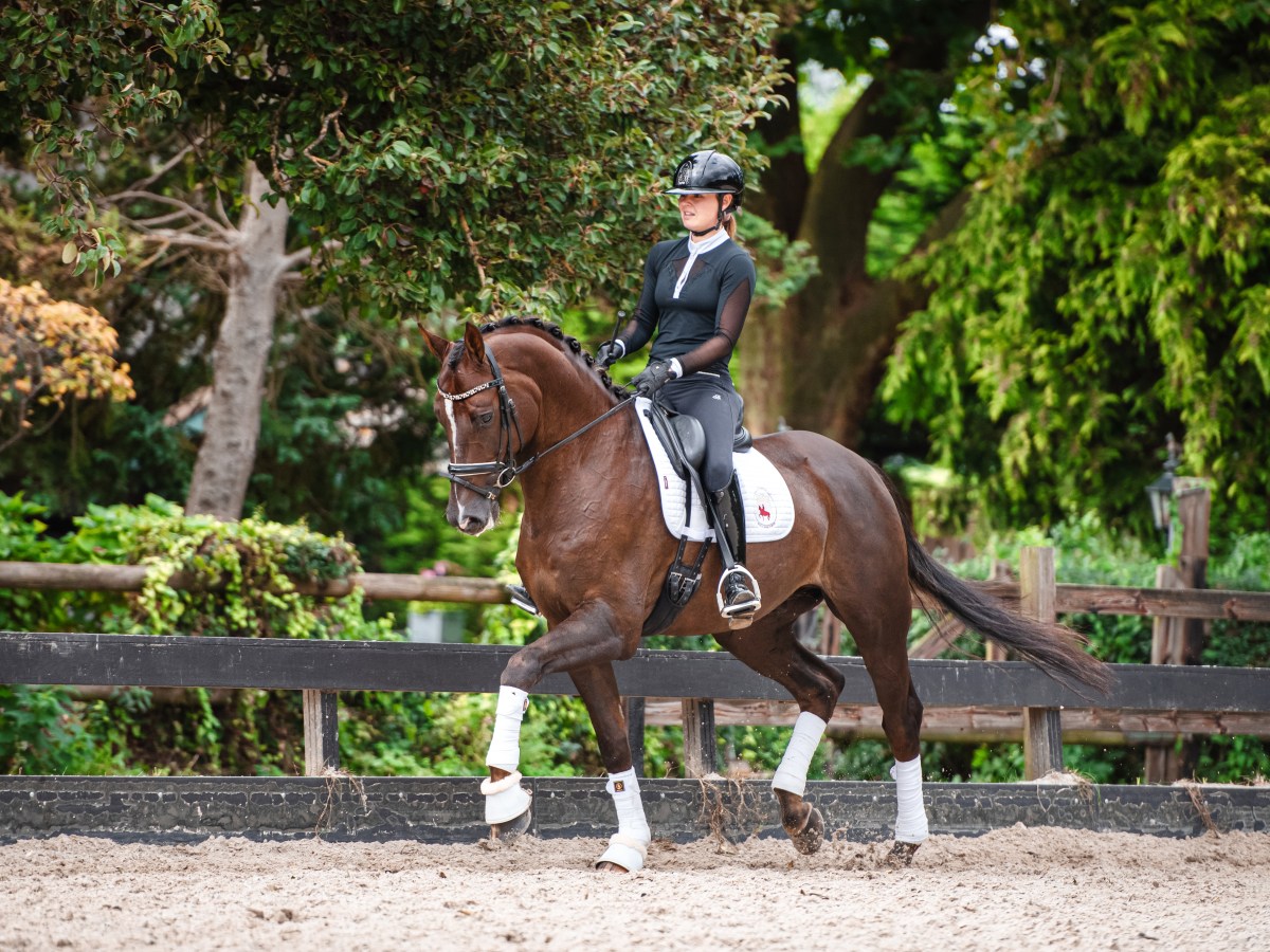 Lebenicio has been&nbsp;sold!