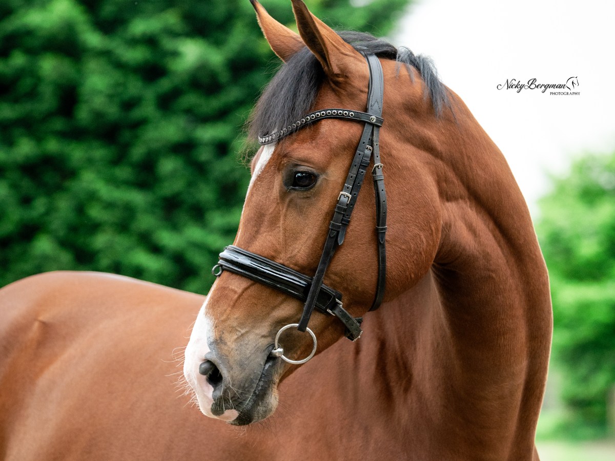 Sevilla becomes PROVISIONAL&nbsp;KEUR!