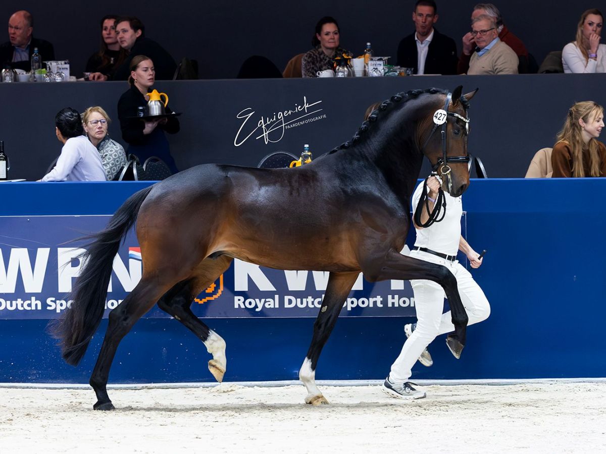 Tiësto GS has been&nbsp;selected!