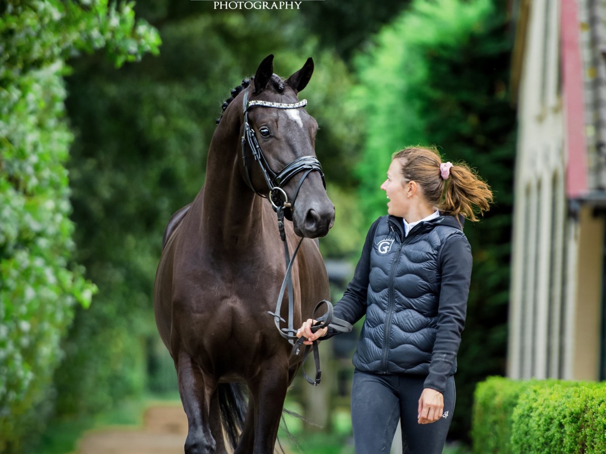 A very successful clinic organized in&nbsp;Zevenbergen!