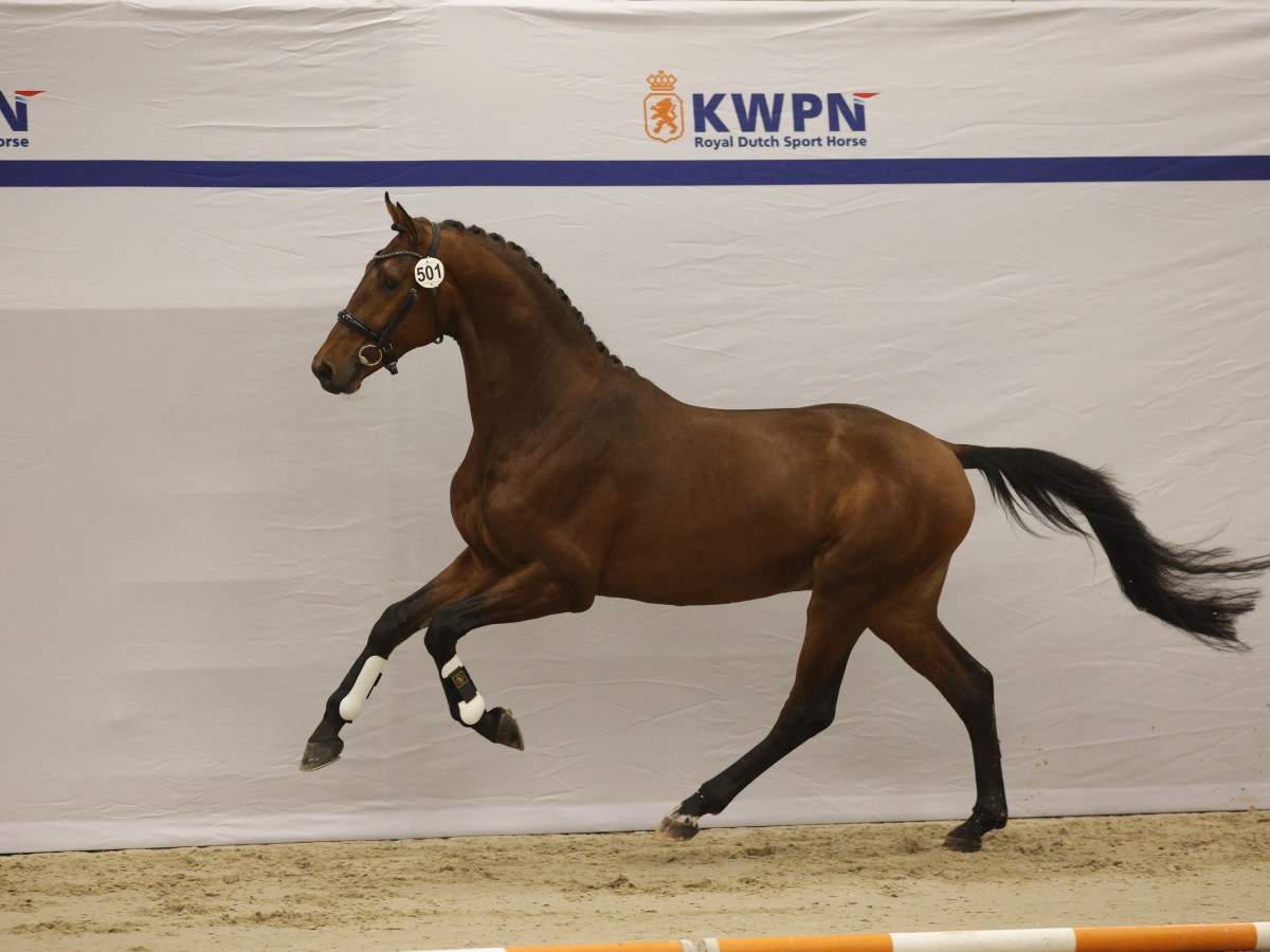 Santiago impresses at the first&nbsp;inspection!