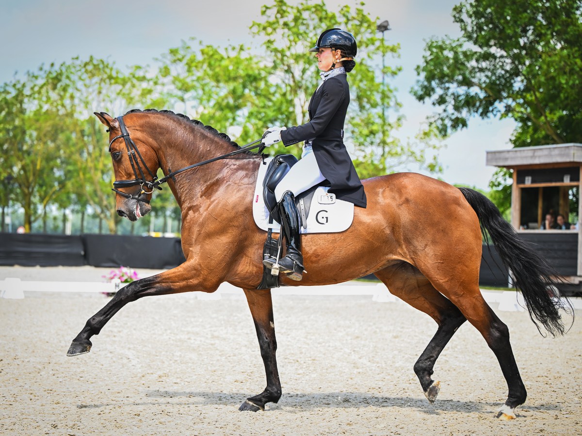 Hensie and Elena have started competing inter&nbsp;1!